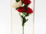 a clear box with a bunch of flowers inside of it