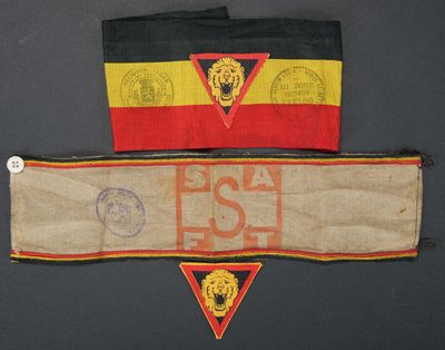 deux drapeaux avec un lion au recto et un lion au verso