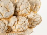 a white vase with a bunch of artichokes in it