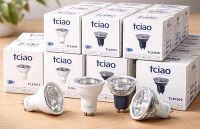 plusieurs types d'ampoules posées sur une table à côté d'une plante