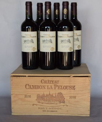 6 bouteilles château CAMBON LA PELOUSE Haut-Médoc 2016 (CB)