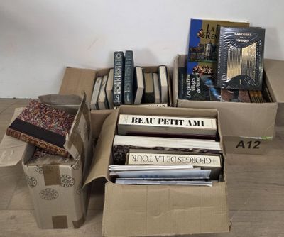de nombreux livres rangés dans des cartons posés les uns à côté des autres sur le sol