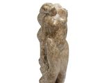 une image représentant une statue d'ours sur fond blanc