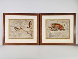 deux cartes encadrées représentant des oiseaux, accrochées au mur du salon