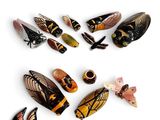 Plusieurs types d'oiseaux en bois sont disposés en cercle