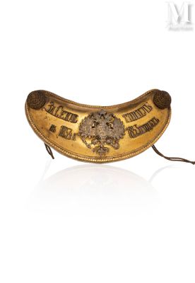 an image of a gold belt with a lion on it