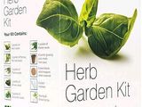 une boîte contenant un kit de jardin d'herbes aromatiques sur fond blanc