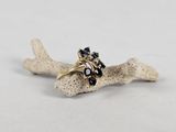 a close up of a ring on a piece of coral on a white surface