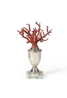 un vase en argent contenant un corail rouge, posé sur un fond blanc