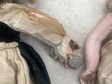 two dolls that are laying next to each other