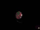 an oplite in the dark with a black background