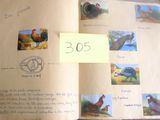 un livre ouvert avec des images d'oiseaux et des oiseaux dessus