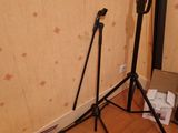 two tripod stands in a room with a wallpapered wall