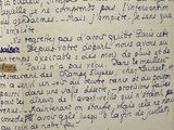 Photo 5/7 du lot