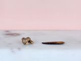 a small piece of food on the counter next to a toothbrush