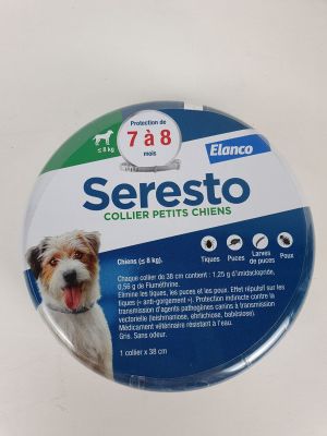 une photo d'un chien assis sur une table
