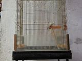 a bird that is sitting in a cage on a stand