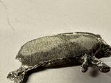 a small turtle that is sitting on a table