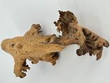 a piece of wood that looks like a lizard