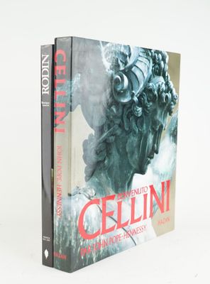 the book cover of the novel cellini is shown on a white surface