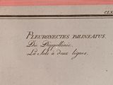 Photo 2/3 du lot