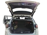 the back of a car with its trunk open and a dog in the trunk