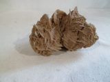 un tas d'éponges marron sur une surface blanche