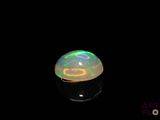 an oplite in the dark with a black background