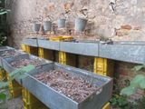 de nombreux seaux posés contre le mur d'un immeuble