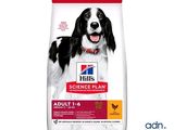 hill ' s science plan adult large breed adult dry dog food