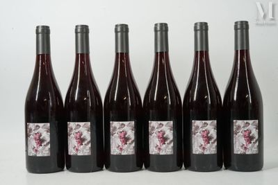six bouteilles de vin sont alignées sur une table
