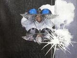 une photo d'une photo d'un papillon de nuit aux yeux bleus