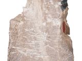 an image of a piece of rock on a white background