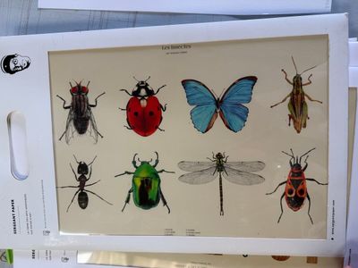 SERGEANT PAPER - Suzanne DHUSLT