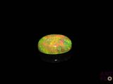 an oplite in the dark with a black background