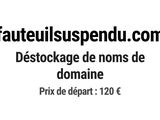 Photo 1/1 du lot