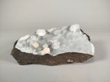 a close up of a rock with a lot of rocks on it