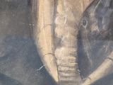 a picture of a picture of an elephant with a hat on