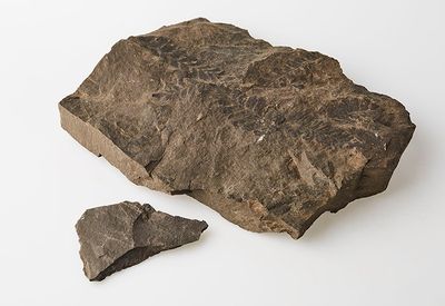 a large rock and a small piece of rock on a white surface
