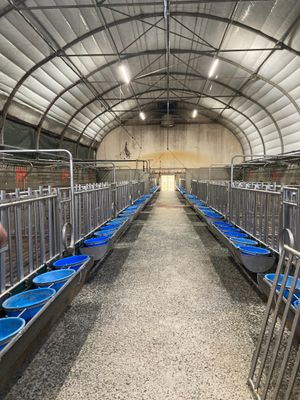 des rangées de seaux bleus alignés à l'intérieur d'une structure métallique