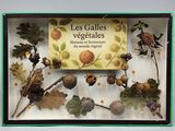 un étalage de divers fruits et légumes dans une vitrine en verre