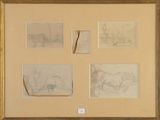 des croquis d'un cheval réalisés par un homme et une femme