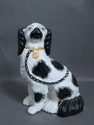 un chien noir et blanc avec une chaîne autour du cou