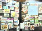 une vitrine présentant des timbres dans la vitrine d'un magasin