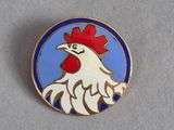 a white chicken with a red hat on it ' s head