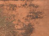 a man that is playing tennis in the dirt