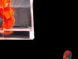 an orange bear in a clear box on a black background