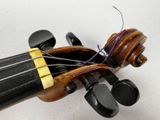 a close up of a violin with strings attached to it
