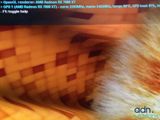 a cat that is sitting in a basket on the couch
