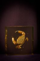 [ARTIFICIALIA] (photo 3)